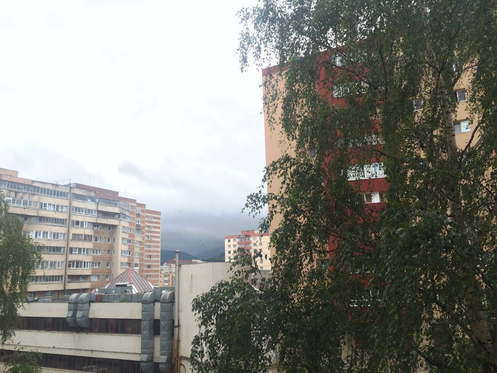 Apartment Krondays Braşov Esterno foto